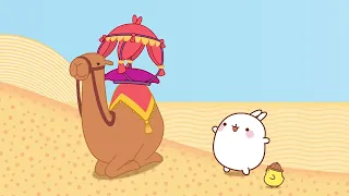 Molang - The Camel | Compilation For Kids