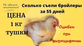 Сколько съели Бройлеры за 55 дней. Себестоимость 1кг мяса Бройлера.  Ошибки при выращивании