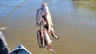 Catching more catfish to take home  7/15/2023