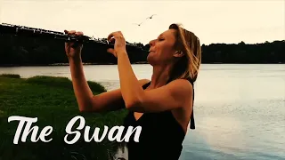 The Swan, Saint-Saëns ( Oboe cover ) Kasia Oboe