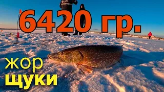 КОЛЯ, ТАЩИ БАГОР! ОПАСНЫЙ ПЕРВЫЙ ЛЕД 2021-2022! ЖОР ЩУКИ!  ЗИМНЯЯ РЫБАЛКА 2021. (жерлцы балансир)