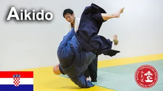 Aikido - Big throw softly and freely in Croatia by Shirakawa Ryuji shihan