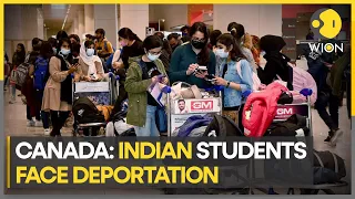 Canada deportation fear: Indian students protest after immigration fraud comes to light | WION