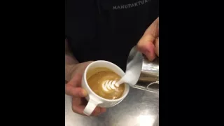 Mares Petre-Barista-   Latte Art-  Swan - "Romanian Champion"