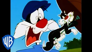 Looney Tunes | Best of Sylvester | WB Kids