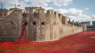 Poppy memorial time-lapse at Tower of London from dawn to dusk