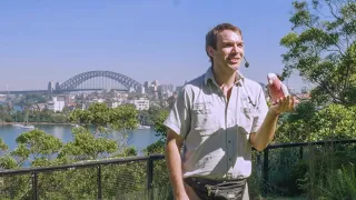 Free Flight Birds at Taronga Zoo Sydney