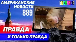 CSBSVNNQ Американские новости — выпуск #889 от 22.11.2022