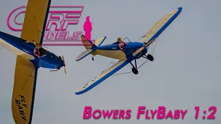 Bowers FlyBaby 1:2 || CARF-Models