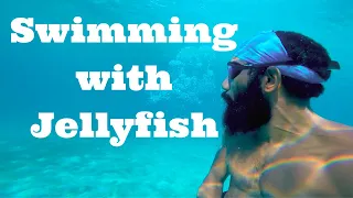 Jellyfish Swim