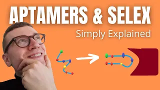 Aptamers and SELEX Simply Explained