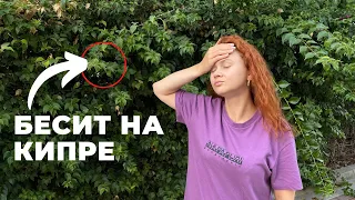 Что меня БЕСИТ на Кипре | МИНУСЫ Кипра | Жизнь на Кипре