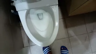 Toto One Piece toilet (With Bidet Seat)