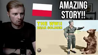 Reaction To The Polish Military Bear