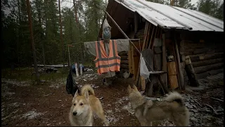 Живем в тайге 2. Питаемся добытым , ловим  медведя хулигана. Добыли ....