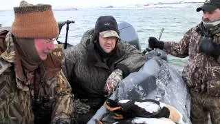 King Eider Hunting video 2010 Island X Highlights Aleutian Island Waterfowlers