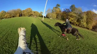 Galloping on a horse in 360 VR