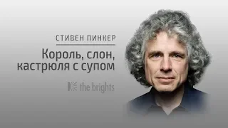 Стивен Пинкер — Король, слон и кастрюля с супом