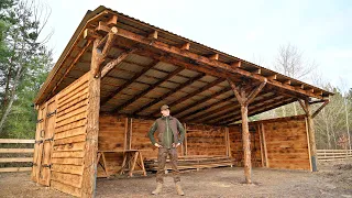 2 Months of Building a LARGE LOG SHED From Start to Finish Alone | My Own Forest Farm - Ep.7