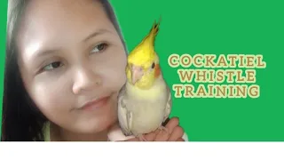 COCKATIEL WHISTLE TRAINING / MUSIC And SOUNDS