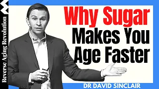 WHY SUGAR Makes You AGE FASTER? | Dr David Sinclair Interview Clips