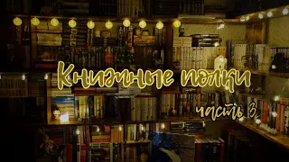 мои КНИЖНЫЕ ПОЛКИ! современная литература