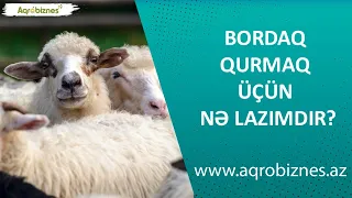 Bordax quranları maraqlandıran 4 vacib sual