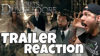 Harry Potter Fan Reacts To Fantastic Beasts The Secrets Of Dumbledore | Trailer Reaction