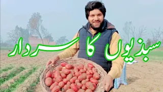 King of Vegetables | Sajju Bhai  | Vlog