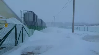 Зима вернулась!  1 марта 2018 г.