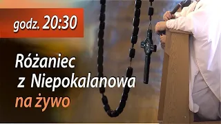 08.10 g.20:30 Różaniec z Niepokalanowa na żywo | NIEPOKALANÓW– Bazylika