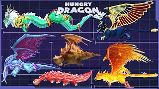 THE BIGGEST DRAGON IN HUNGRY DRAGON. All Dragon Size Comparison [Season 3] Seabreather Update