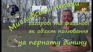 Сімейства гагарові та фазанові - як об’єкт полювання на пернату дичину