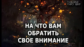 НА ЧТО ВАМ ОБРАТИТЬ СВОЕ ВНИМАНИЕ 🔥 ГАДАНИЕ НА КОФЕЙНОЙ ГУЩЕ