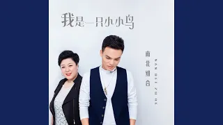 我是一只小小鸟 (伴奏版)