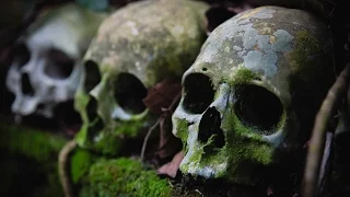 ABANDONED SKULL ISLAND - Found Human Skeletons! (WARNING GRAPHIC MATERIAL)