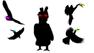 New feather family bird ideas