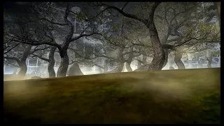Magic Forest | Lichtmond 2