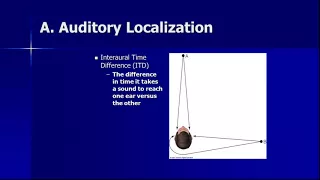 Cognition 2 4 Auditory Perception