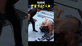 그라운드 파운딩 KO! 가장 잔인한 마무리?