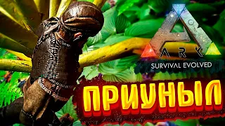 ТУСУЕМСЯ С ДИНОЗАВРАМИ В ARK SURVIVAL EVOLVED | АРК СМЕШНЫЕ МОМЕНТЫ | ИГРОВЫЕ ПРИКОЛЫ И ФЕЙЛЫ