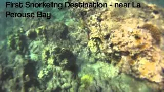 Maui 2012 Reef and Rays