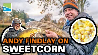 Catch Carp On Sweetcorn! | Andy Findlay On Sweetcorn fishing!
