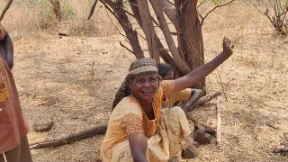 எங்க உயிரை காப்பாத்துற வீடு இதுதான் The only house in the forest where animals live #village #forest