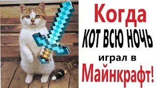 Лютые приколы. КОГДА КОТ ВСЮ НОЧЬ ИГРАЛ В МАЙНКРАФТ!!! СМЕШНЫЕ КОТЫ! Засмеялся проиграл – Domi Show