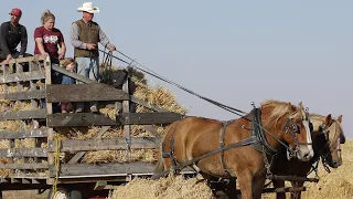 Reding Family Threshing 1910 2022