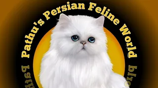 Pathu's Persian Feline World Logo