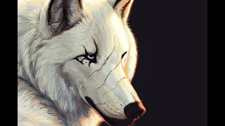 Anime Wolves ~ Battle Scars