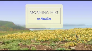 Morning Hike in Pacifica: coastal trail 🥾 | springtime bloom 🌼 | trail running 🏃‍♀️