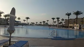 Декабрь погода Шарм-эль-Шейх Grand oasis resort